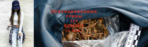 синтетический гашиш Белокуриха