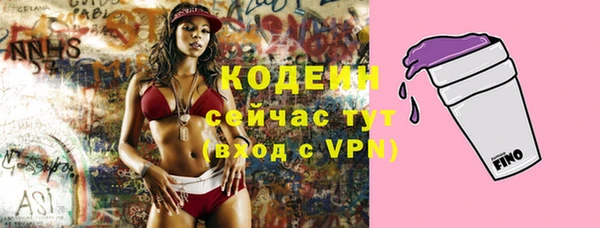 крисы Сосновка