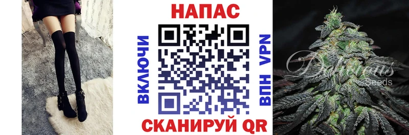 закладки Духовщина Конопля гибрид